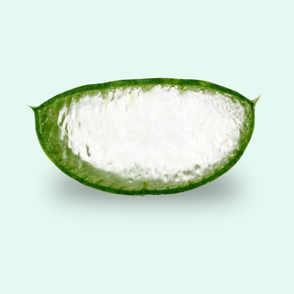 Ekologiškas alavijas